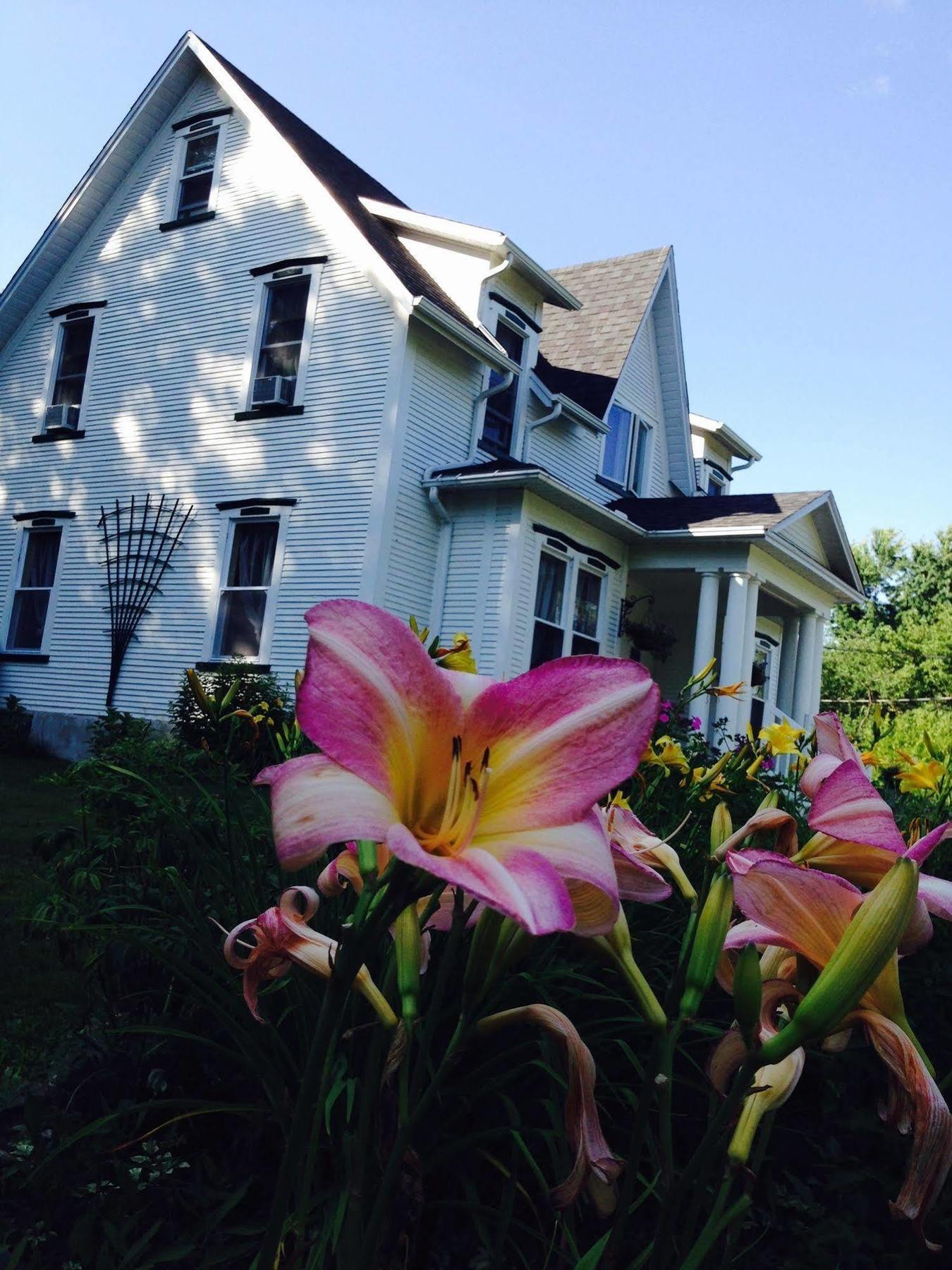 B&B Hillhouse Lac-Brome Exterior photo